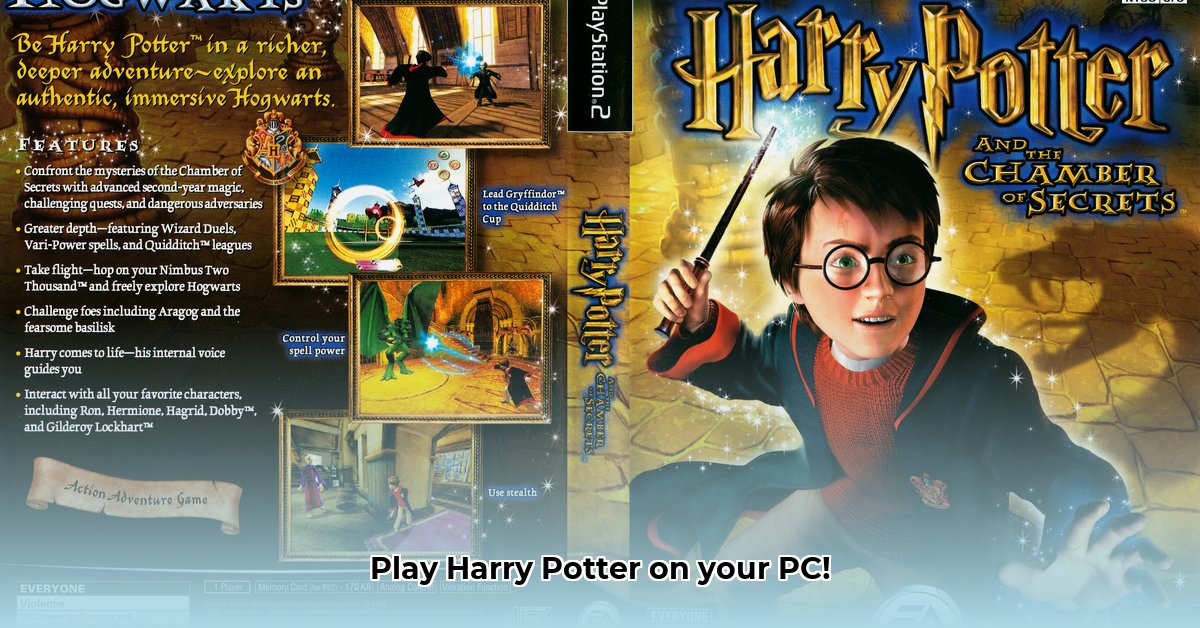 roms-ps2-harry-potter